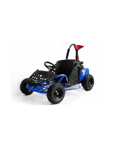 BUGGY GOKID 80cc R6