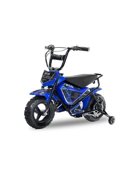 fleet 250w