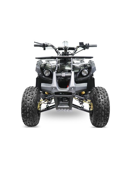 ECO TORONTO S 1000W 48V R8 20Ah
