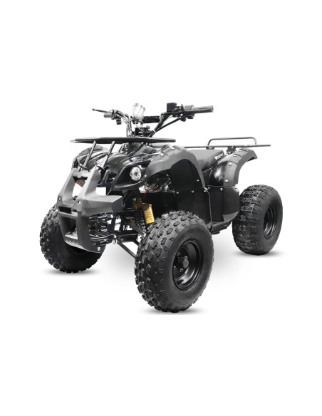 ECO TORONTO S 1000W 48V R8 20Ah