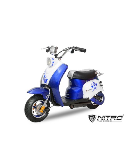 SCOOTER ECO RETRO  350W 24V R 6,5