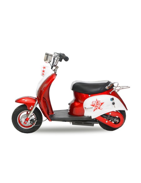 SCOOTER ECO RETRO  350W 24V R 6,5
