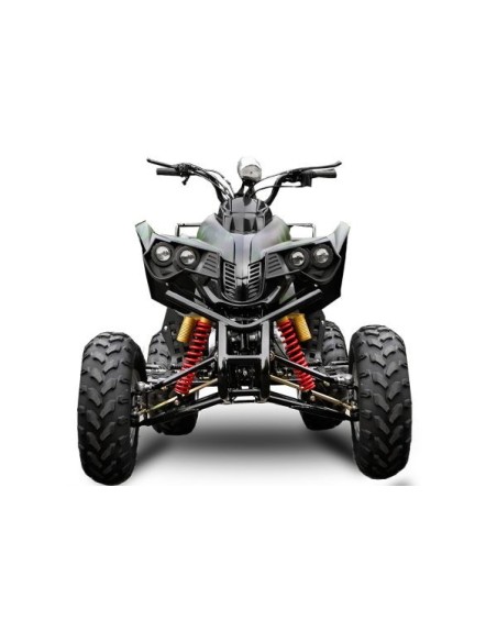 Quad  Warrior atv 250cc  R10  4 marchas+ marcha atrás