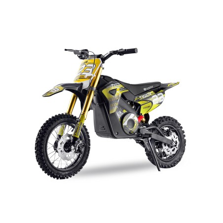 Eco TIGER DELUXE 1100W 36v 13Ah  LITIO 12/10