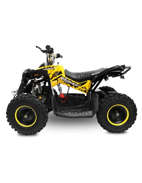 Eco AVENGER PRIME 1060w36v  CARDAN DRIVE R6