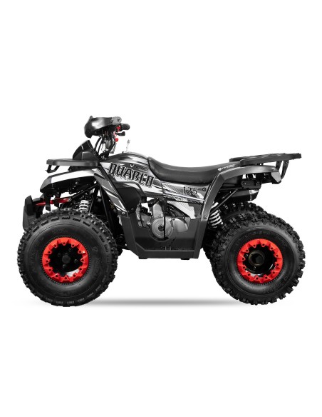 Quablo Turbo RS8-A midi Quad 125cc 8 "Aut. + RG Kinderquad ATV Platinum