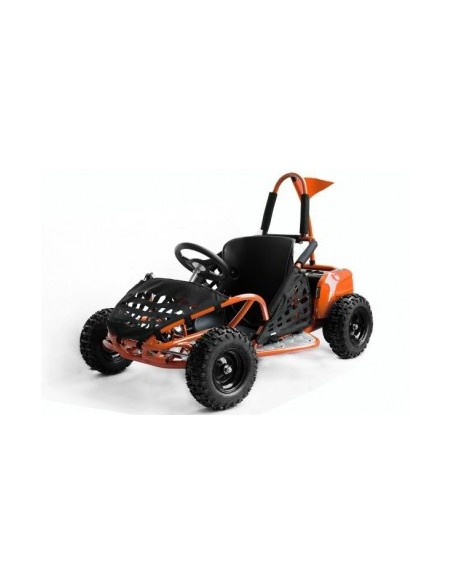 ECO BUGGY GOKID 1000W 48V R6