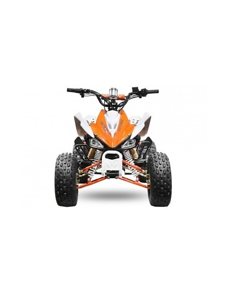 ECO SPEEDY S8 1000W 48V R8