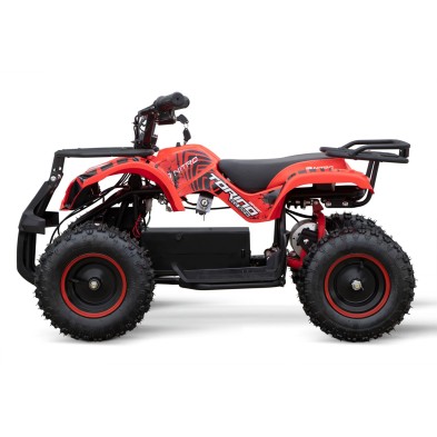 ECO Torino GRAFFITI 1000w 48v R6 3 etapas luz batería extraible