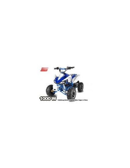 ECO SPEEDY S8 1000W 48V R8