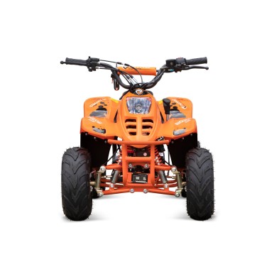 Eco Big foot 800w R6 3 etapas luz, bateria extraible