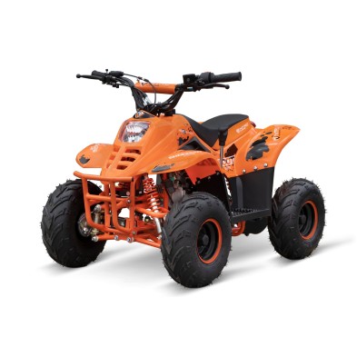 Eco Big foot 800w R6 3 etapas luz, bateria extraible