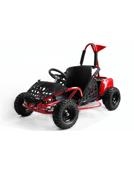 ECO BUGGY GOKID 1000W 48V R6