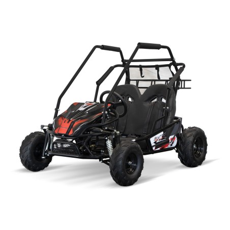 Eco buggy Gokart 1000W 60V 20ah 6 /7 pulgadas 3-etapas+ marcha atras