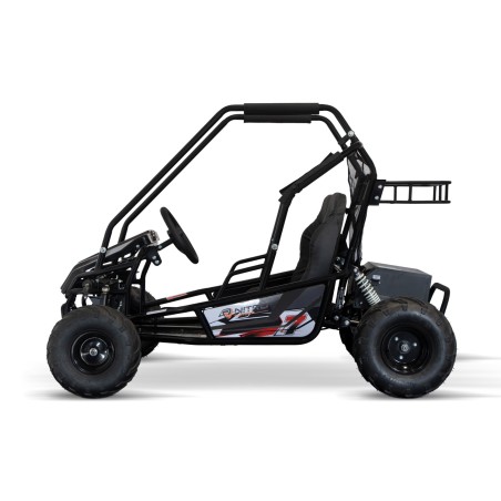 Eco buggy Gokart 1000W 60V 20ah 6 /7 pulgadas 3-etapas+ marcha atras