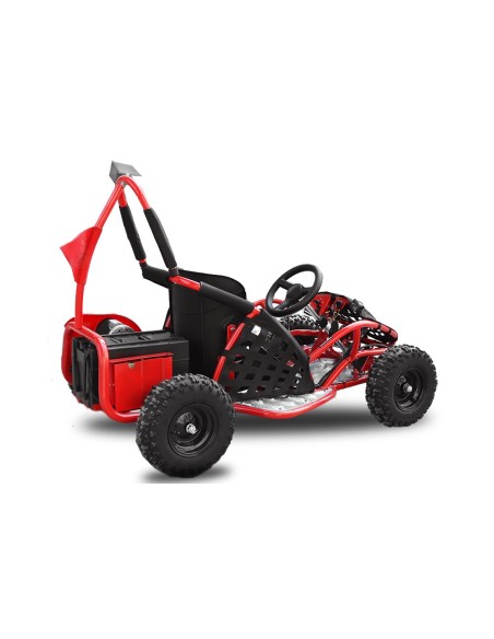 ECO BUGGY GOKID 1000W 48V R6