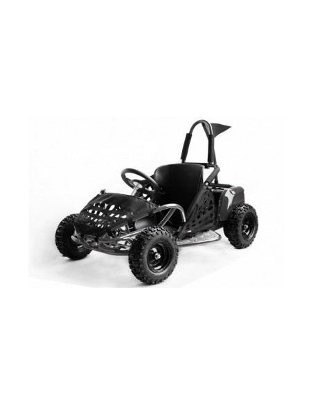 ECO BUGGY GOKID 1000W 48V R6