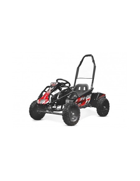 GOKID DIRTY  ECO 1000W 48V  TODO TERRENO