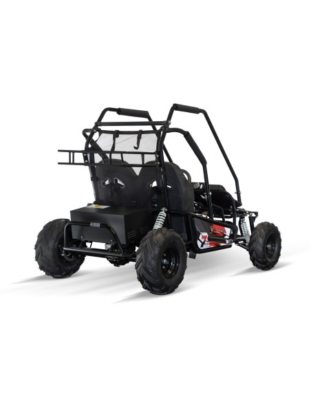 Eco buggy Gokart 2000W 60V 20ah 6 /7 pulgadas 3-etapas+ marcha atras