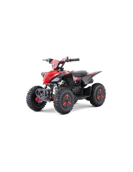 Replay SNOWY  PROFILE  L SPORT 49cc R6