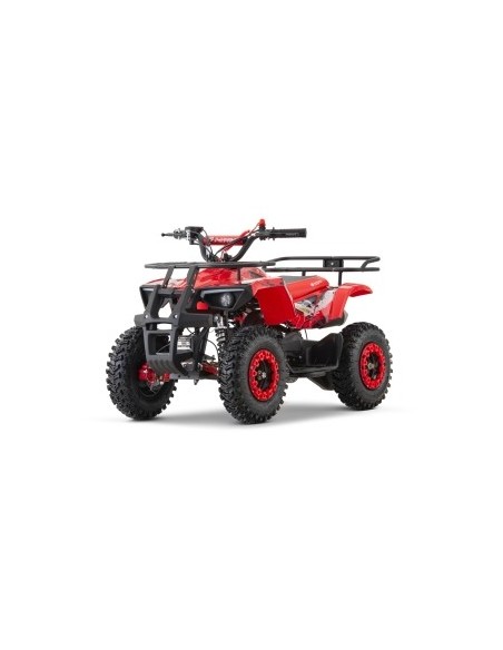 DUSTY  SNOWY  PROFILE  L SPORT 49cc R6