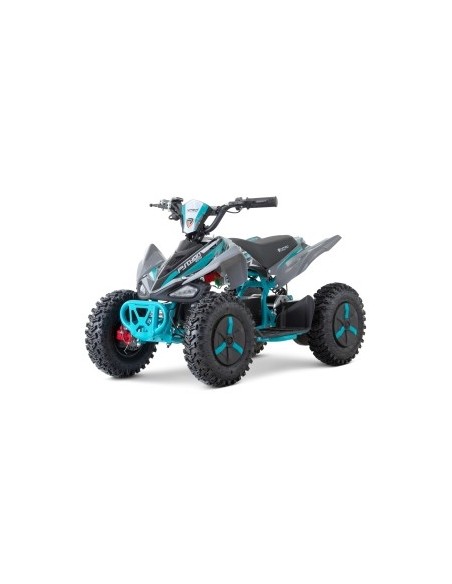 ECO Phyton Snowy-Profile L Sport 1000w 36v R6 3 etapas