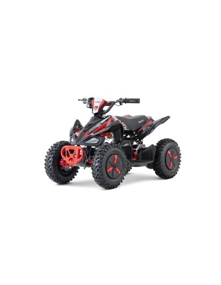 ECO Phyton Snowy-Profile L Sport 1000w 36v R6 3 etapas