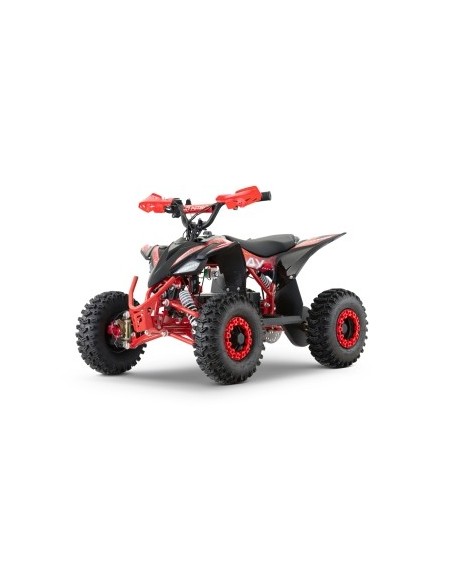ECO REPLAY Sport SNOWY  XL 1200w 48v R6