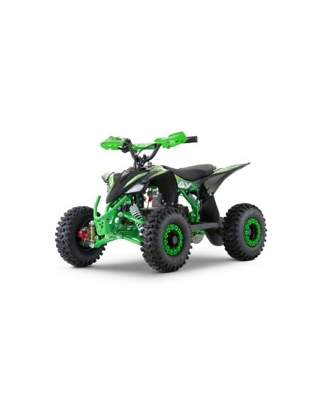 ECO REPLAY Sport SNOWY  XL 1200w 48v R6