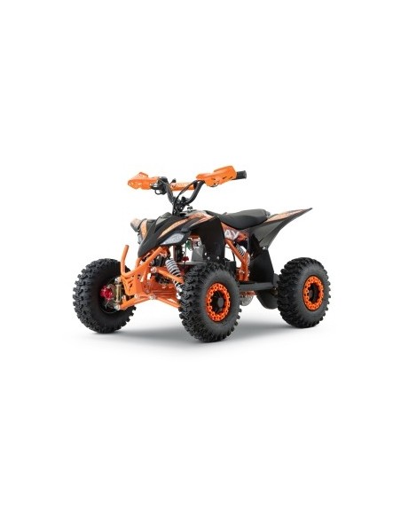 ECO REPLAY Sport SNOWY  XL 1200w 48v R6