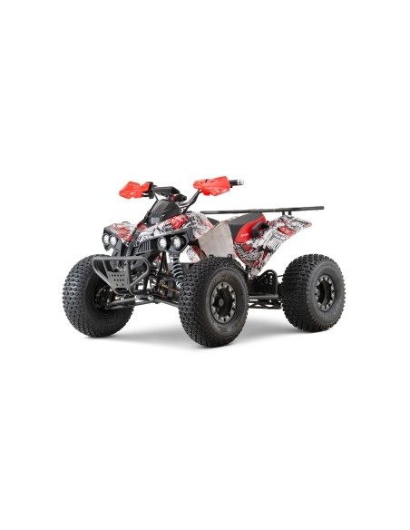QUAD ECO Warrior Grafiti  1500W 60V R8 shaft drive /diferencial