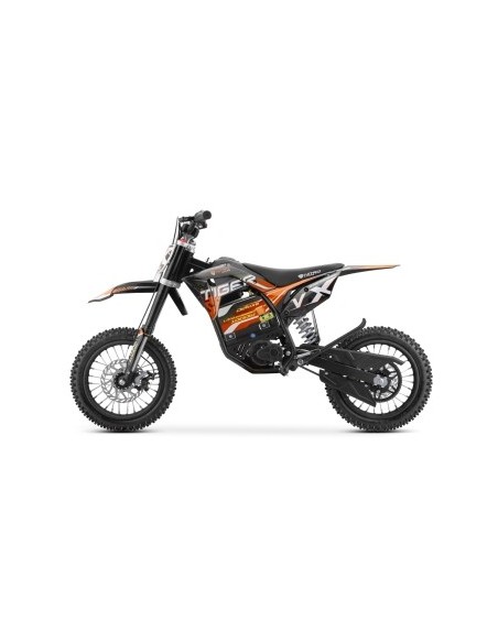 Eco TIGER VX DLX 1000W 36v  LITIO 12/12