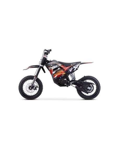 Eco TIGER VX DLX 2000W 48v  LITIO 12/12