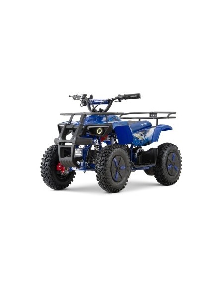 ECO DUSTY Snowy-Profile L Sport 1000w 36v R6 3 etapas