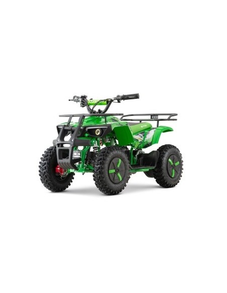 ECO DUSTY Snowy-Profile L Sport 1000w 36v R6 3 etapas