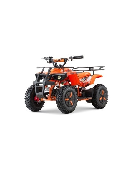 ECO DUSTY Snowy-Profile L Sport 1000w 36v R6 3 etapas