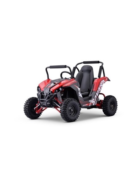 Eco Gokart Savana 1200w  48V VX2 PRM6 UTV