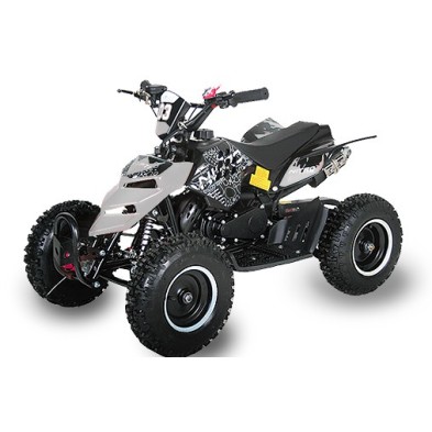 Repti Deluxe 49cc R6 Easy Start