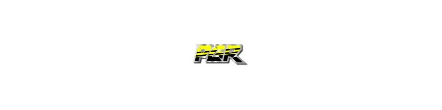PIT BIKE MINIMOTARD   PGR