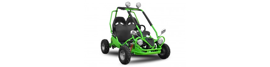 Buggy eléctricos