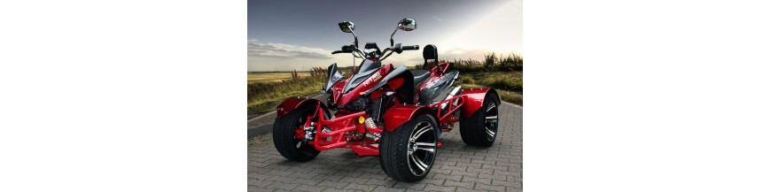 QUAD Y ATV MATRICULABLES 