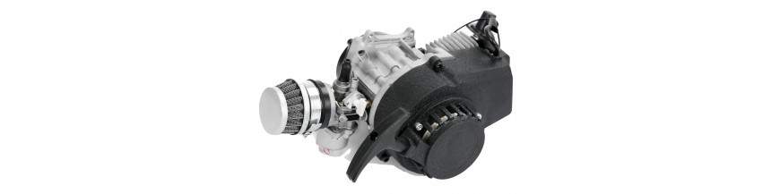 MOTORES GASOLINA 2T/4T